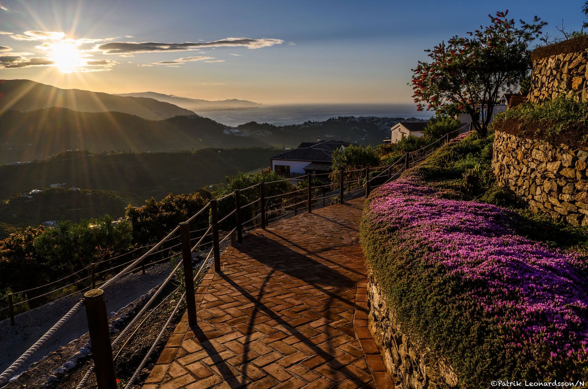 The terraced path above the sea at sunrise, thyme in bloom along the stone wall.