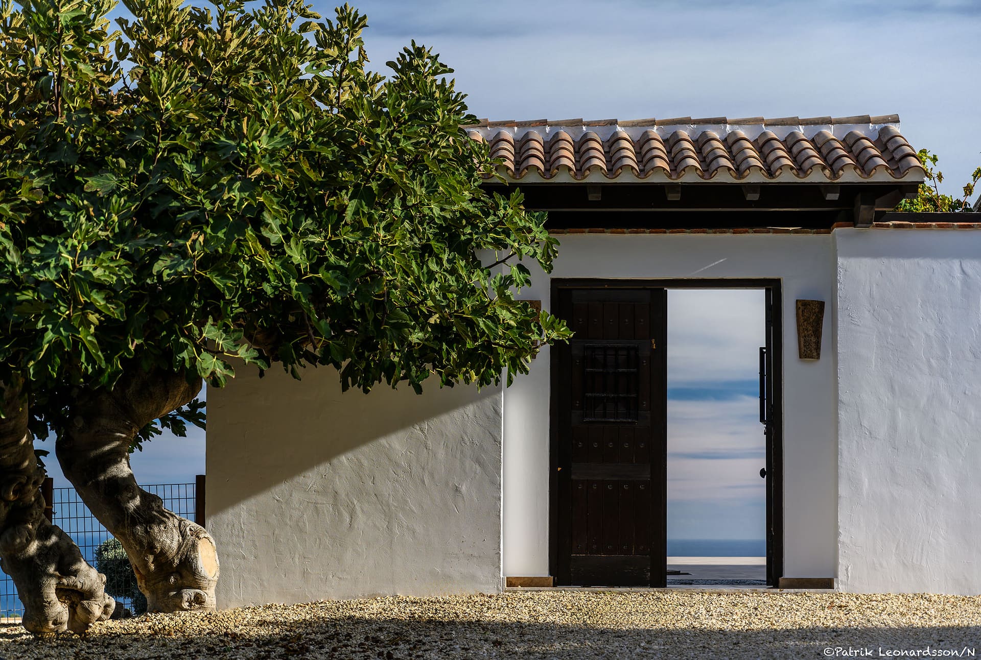 El Cortijo's whitewashed entrance, an old tree beside the open door and the sea beyond.