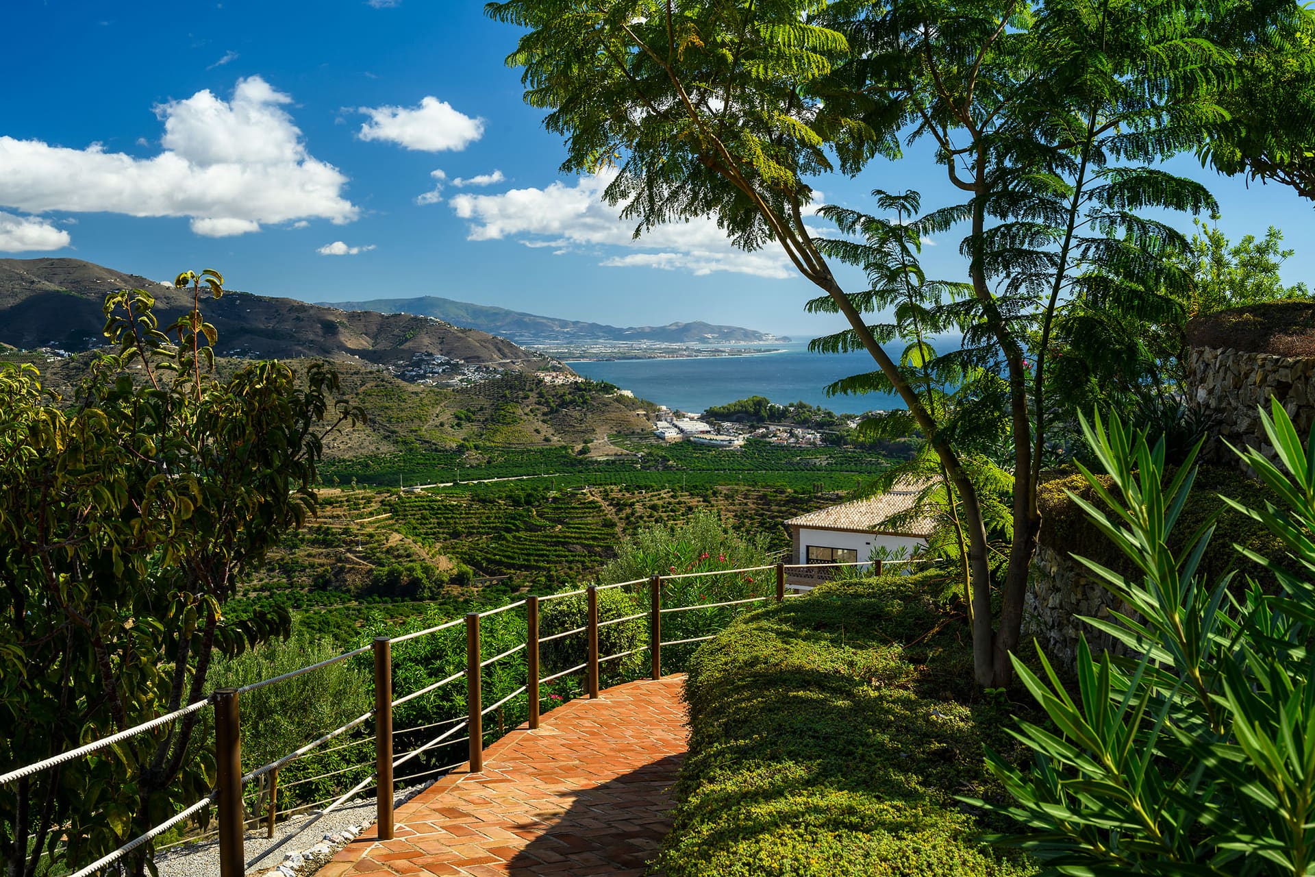 A path through terraced orchards with the sea in the distance.