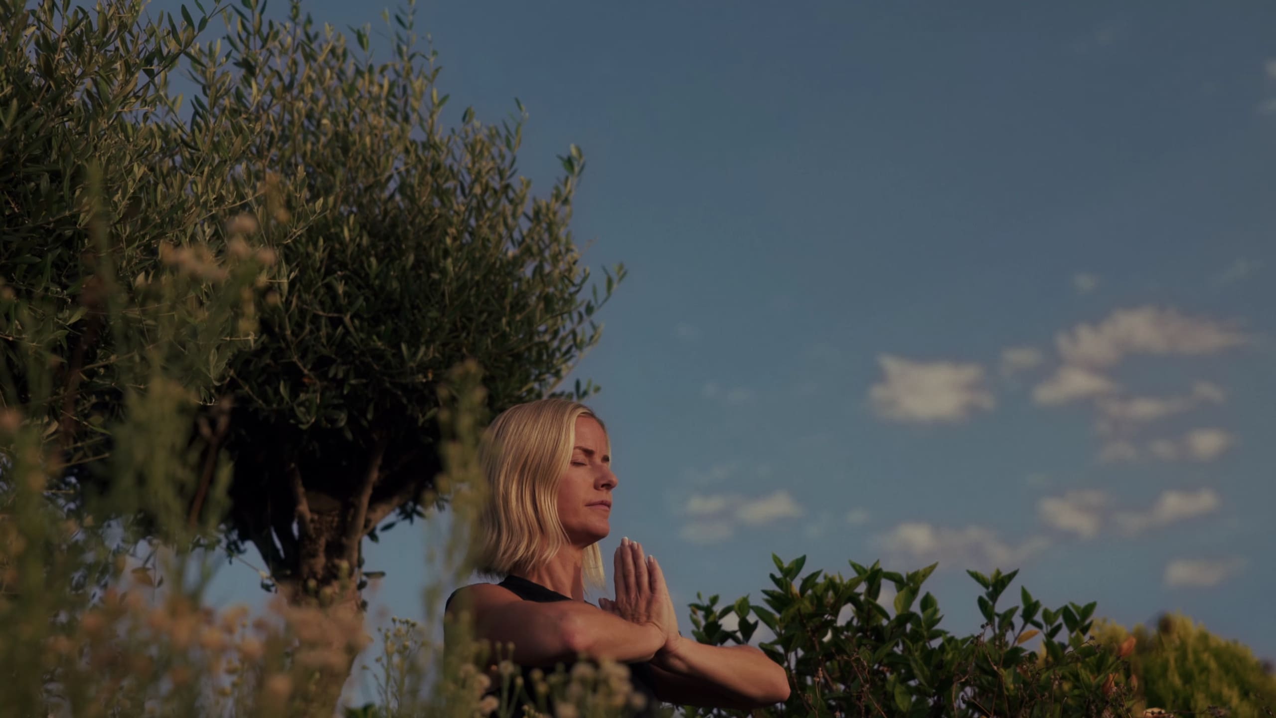 A guest in a yoga pose among the olive trees at dusk.